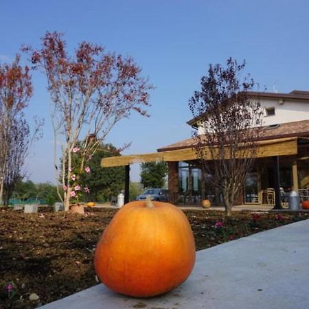 Agriturismo Campogrande Carpaneto Piacentino Exterior foto